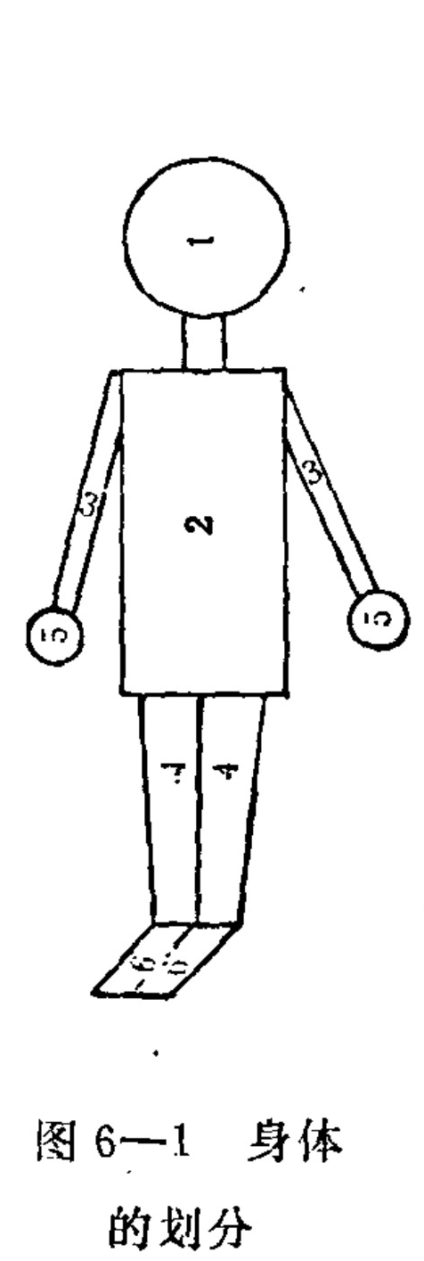 A schematic line drawing illustrating the division of a human figure into numbered segments. The diagram shows a head labeled '1', a torso labeled '2', upper arms labeled '3', lower legs labeled '4 and 7', and hands labeled '10 and 12'. The feet are depicted at the bottom without specific numbers.