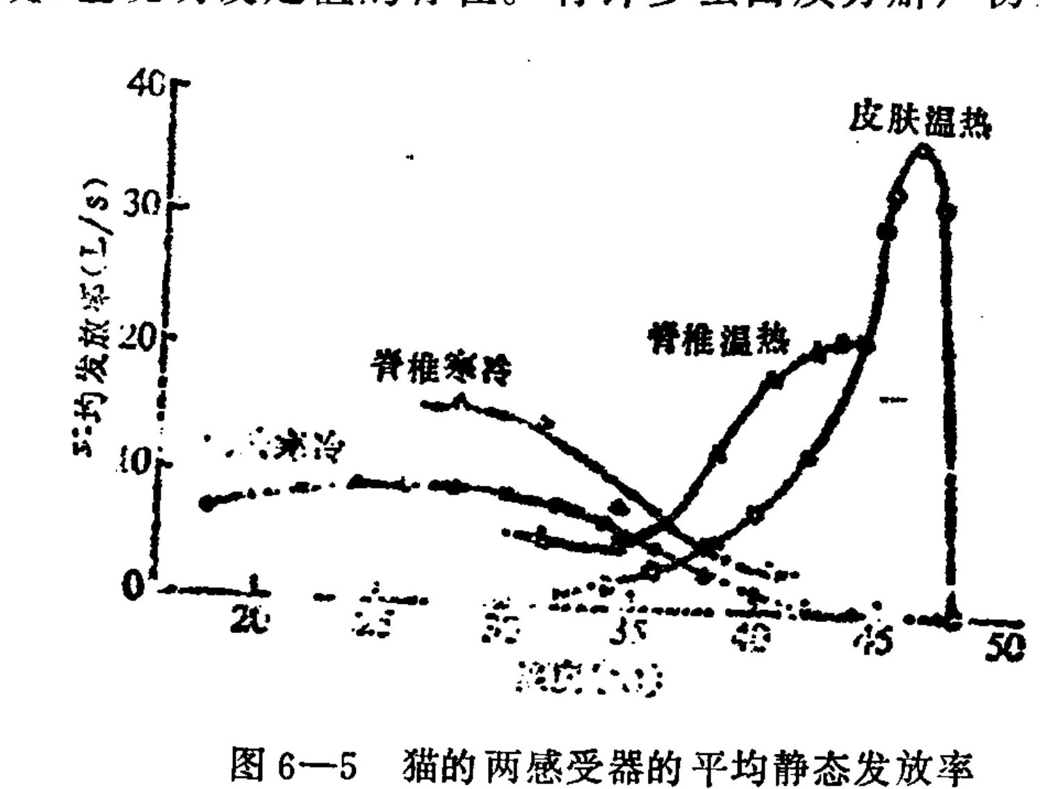 A line graph plotting 'Average Discharge Rate (I/s)' on the y-axis against 'Temperature (°C)' on the x-axis, ranging from approximately 18 to 48°C. The chart displays four distinct curves representing different receptor responses: 'Skin Cold' starts low and decreases; 'Spinal Cord Cold' peaks around 28°C then declines; 'Spinal Cord Warm' rises steadily after 30°C; and 'Skin Warm' shows a sharp increase peaking near 47°C before dropping off.
