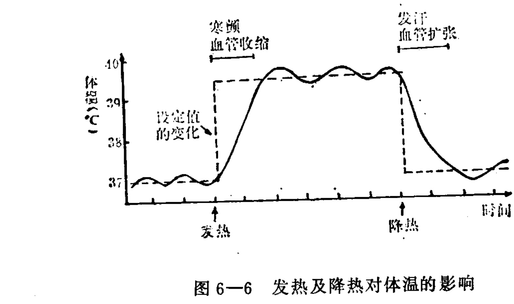 A line graph plotting Body Temperature in degrees Celsius against Time. A solid curve shows the actual body temperature, while a dashed line represents the hypothalamic set point. Initially stable around 37°C, the set point jumps upward at the 'Fever' mark, triggering 'Chills' and 'Vasoconstriction' as the body temperature rises to match it. The temperature plateaus with fluctuations before the set point drops sharply at the 'Defervescence' mark. This triggers 'Sweating' and 'Vasodilation', causing the body temperature to fall rapidly below the new baseline.