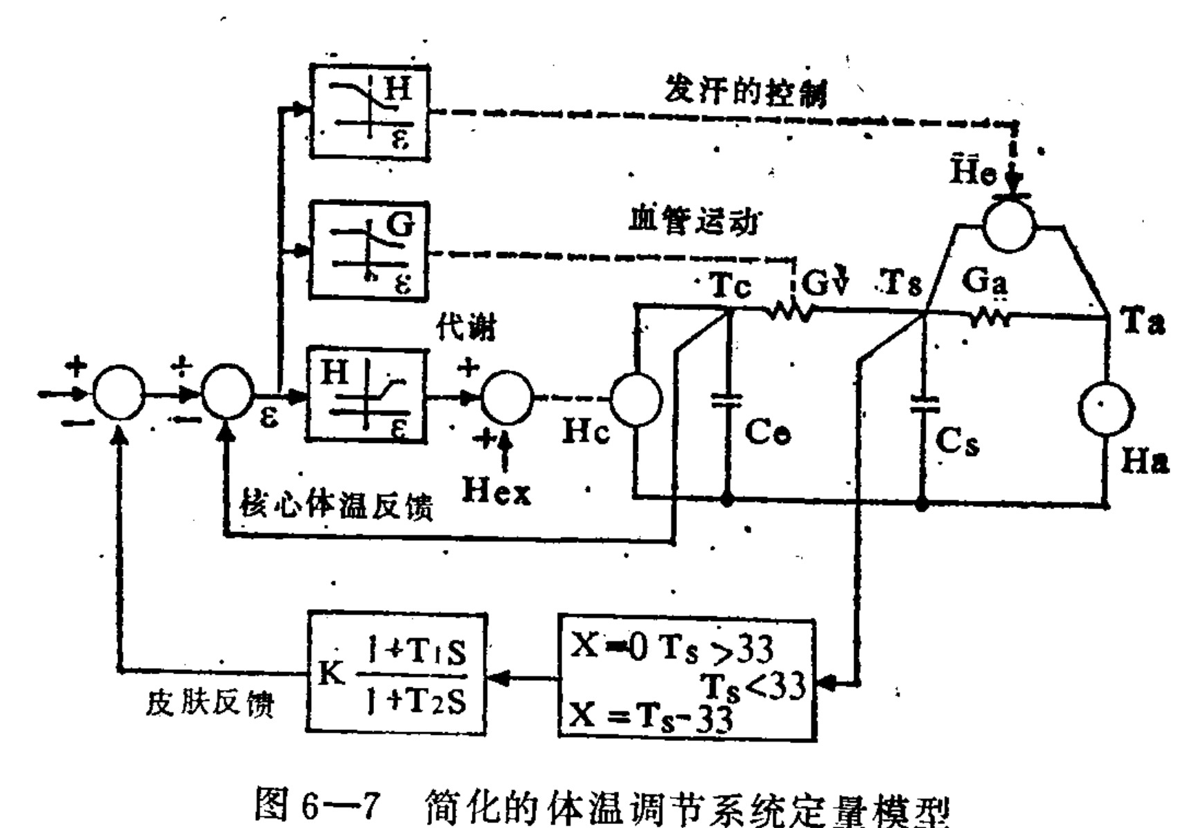 A block diagram illustrating a quantitative model of human thermoregulation. The schematic features feedback loops and control blocks on the left, which regulate physiological variables in an electrical circuit analogy on the right representing thermal resistance and capacitance. Key components include summing junctions for error signals, nonlinear transfer functions labeled with H (metabolism) and G (vasomotor), and a skin temperature feedback loop at the bottom. The right side depicts core (Tc) and shell (Ts) temperatures interacting with ambient temperature (Ta) through thermal resistances (Gv, Ga) and capacitances (Cc, Cs).
