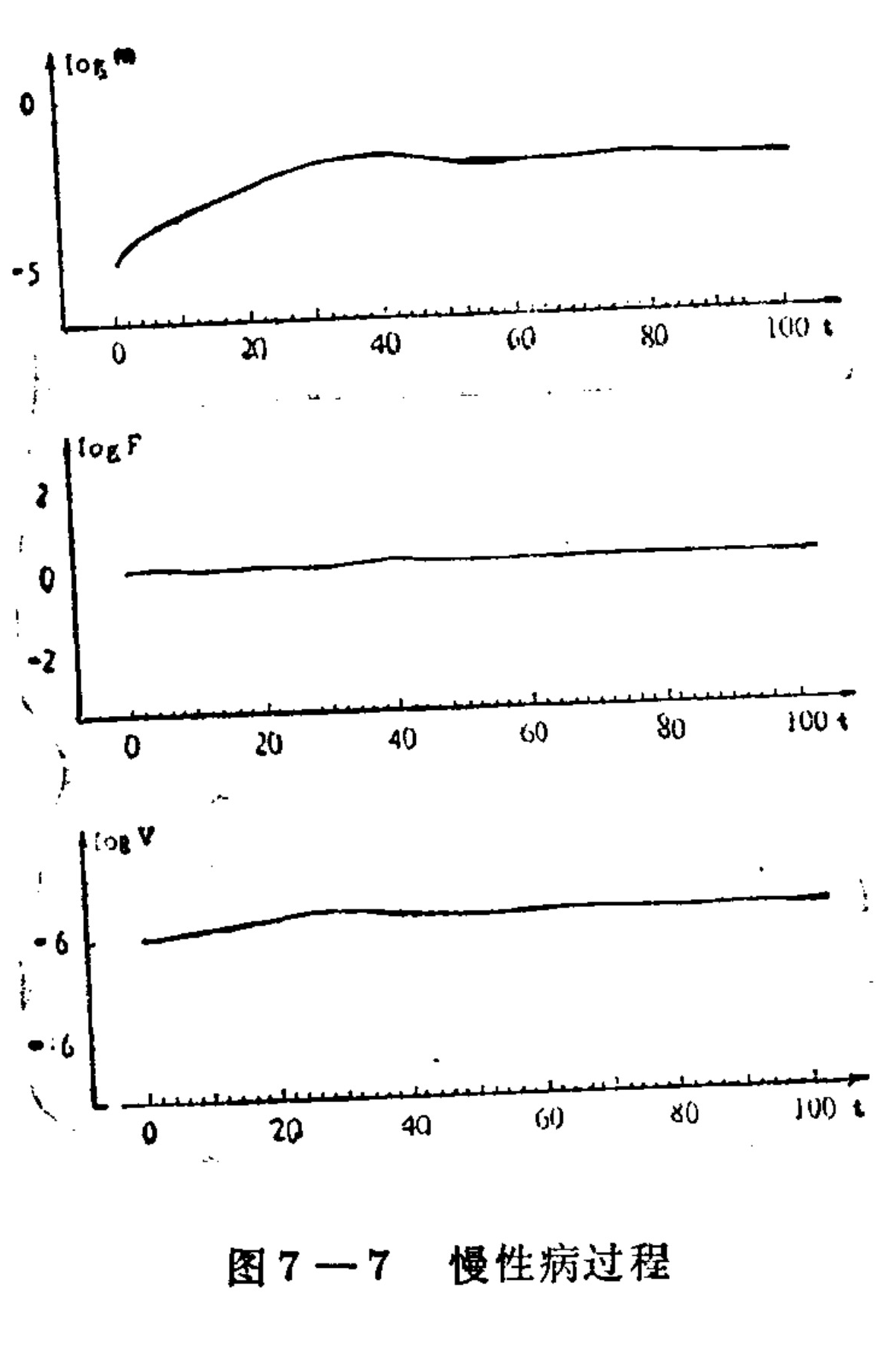 Three vertically stacked line graphs plotting variables against time (t) on the x-axis (0 to 100). The top graph plots log m, rising from -5 to near 0. The middle graph plots log F, rising slightly from 0. The bottom graph plots log V, rising from -6. All curves show a gradual increase that plateaus.