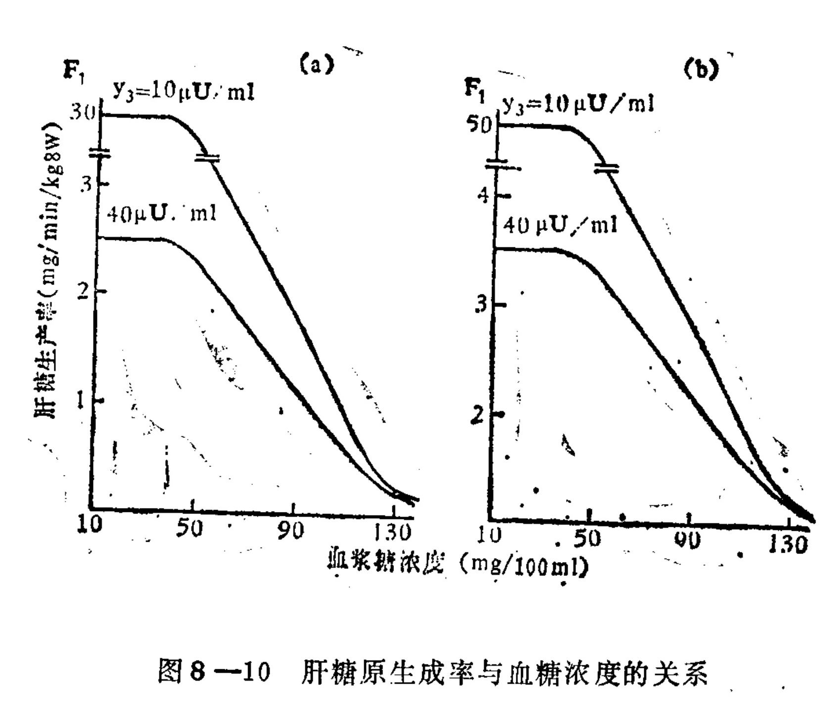 Two side-by-side line graphs, labeled (a) and (b), plotting hepatic glycogen production rate (mg/min/kg BW) on the y-axis against plasma glucose concentration (mg/100ml) on the x-axis. Each graph features two downward-sloping curves representing different conditions (y3=10 μU/ml and 40 μU/ml). The y-axes have scale breaks. The x-axis ranges from 10 to 130.