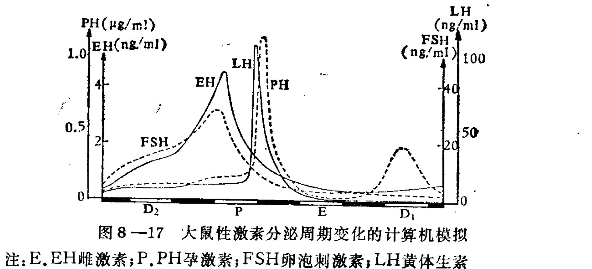 A line graph simulating hormone levels across a rat's estrous cycle. The x-axis represents stages: D2, P, E, and D1. Three y-axes track concentrations of LH, FSH, and PH/EH. Curves show distinct peaks: FSH rises early, followed by a sharp LH surge and a subsequent PH peak during stage P.