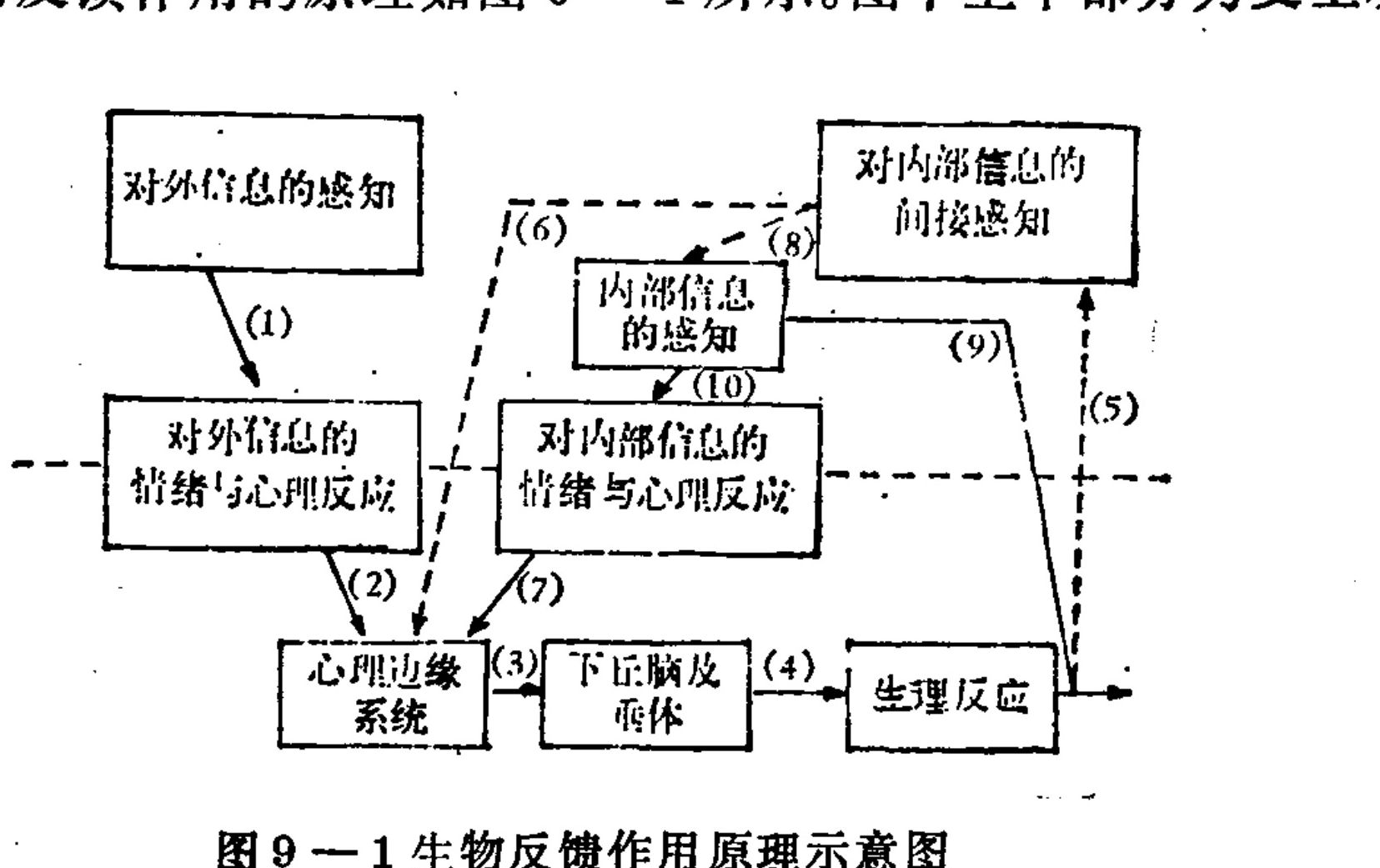 A flowchart illustrating the principles of biofeedback. The diagram consists of rectangular boxes connected by solid and dashed arrows labeled with numbers (1) through (10). The process begins on the left with 'Perception of external information' leading to emotional reactions, which then affect the 'Limbic system'. This connects sequentially to the 'Hypothalamus and pituitary gland' and finally to 'Physiological response'. A feedback loop is shown where physiological responses lead to 'Indirect perception of internal information', which influences 'Perception of internal information' and subsequent emotional reactions, creating a cycle. Dashed lines represent feedback pathways.