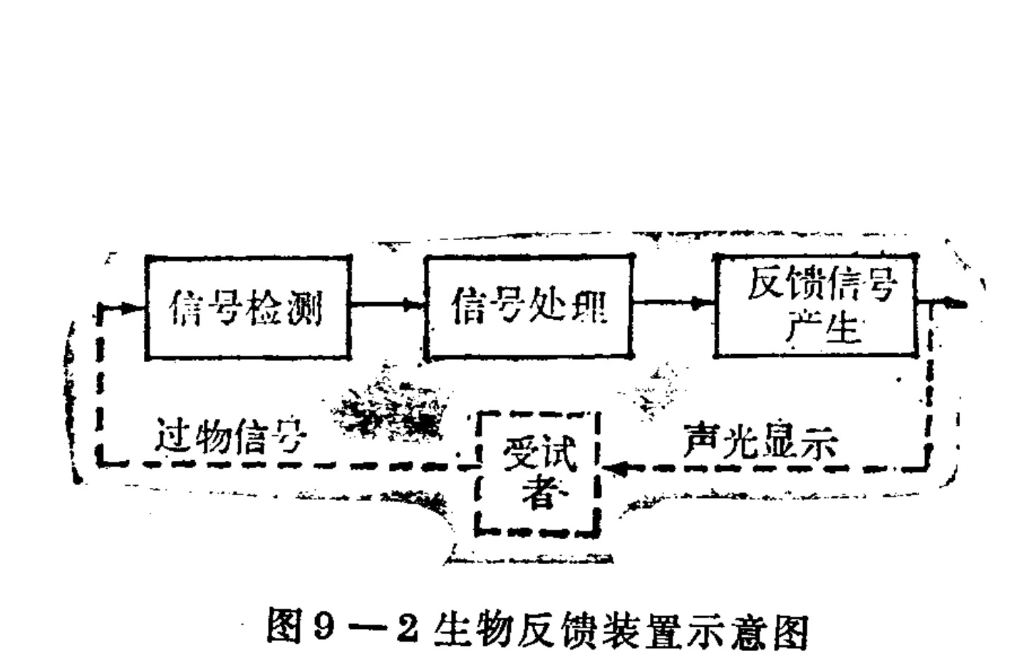 A block diagram illustrating a biofeedback loop. The process flows from left to right through three rectangular blocks: 'Signal Detection', 'Signal Processing', and 'Feedback Signal Generation'. Below these, a dashed loop connects a 'Subject' (center) to 'Bioelectric Signal' (left) and 'Audio-Visual Display' (right). Arrows indicate the signal path from the subject to the detection block, through processing, to the feedback generation, and finally back to the subject via the display.