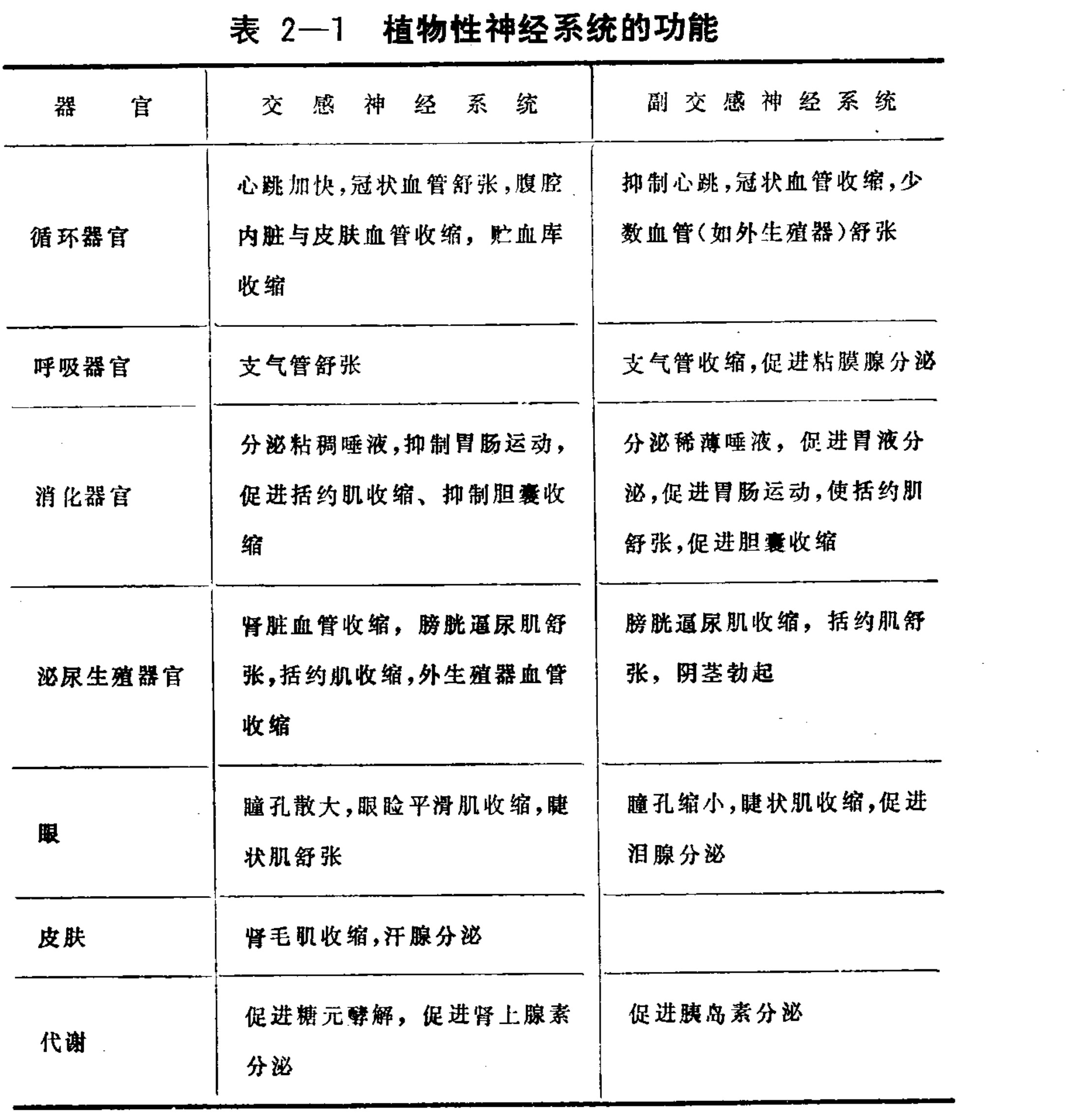 A black and white table titled 'Table 2-1 Functions of the autonomic nervous system' with three columns: Organ, Sympathetic Nervous System, and Parasympathetic Nervous System. The rows list various organs and systems such as circulatory organs, respiratory organs, digestive organs, urinary reproductive organs, eyes, skin, and metabolism, detailing their respective functions under both sympathetic and parasympathetic nervous system controls.