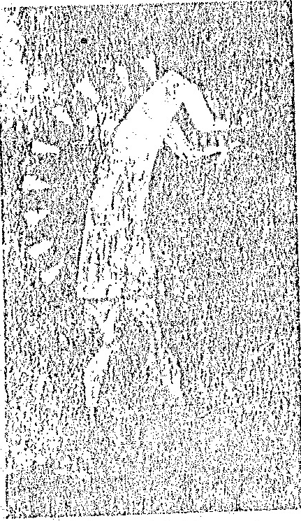 A black-and-white illustration featuring a group of figures, with a central standing figure surrounded by several smaller figures.
