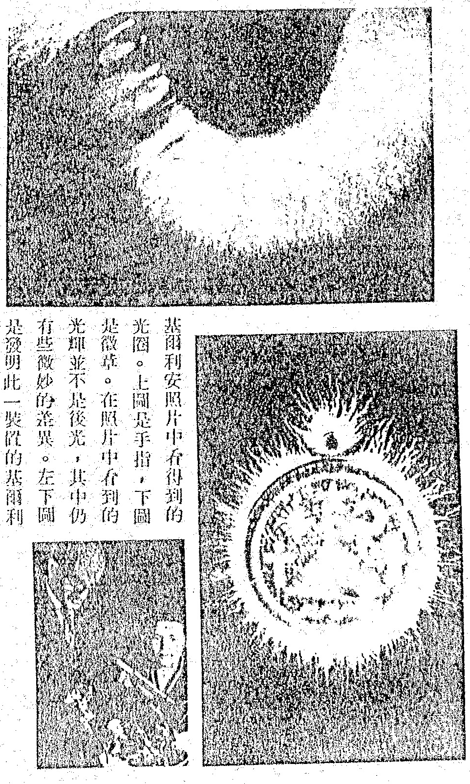 The figure contains three images related to Kirlian photography: a top image of a finger, a bottom-right image of a small plant, and a bottom-left schematic diagram of the device used.