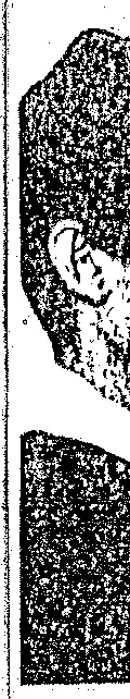 A simple line drawing of a person's head and shoulder.