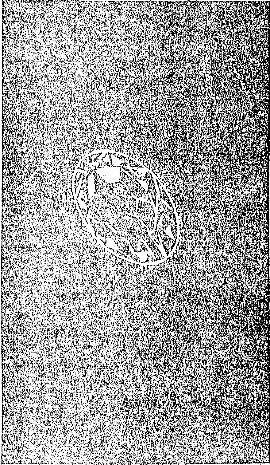 A large, dark, grainy rectangular figure containing a central Rorschach-style inkblot with symmetrical organic shapes and white highlights against a textured background.
