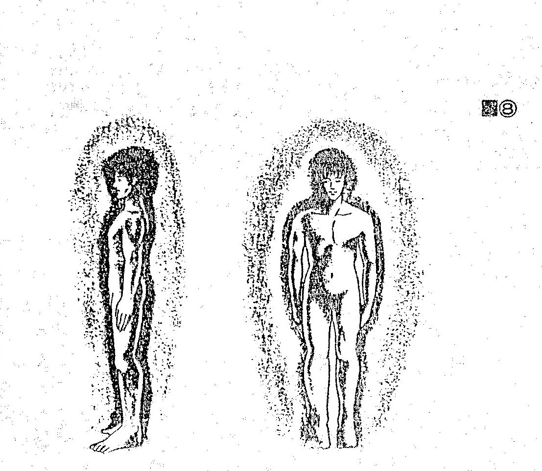 Two human figure silhouettes depicting aura outlines.