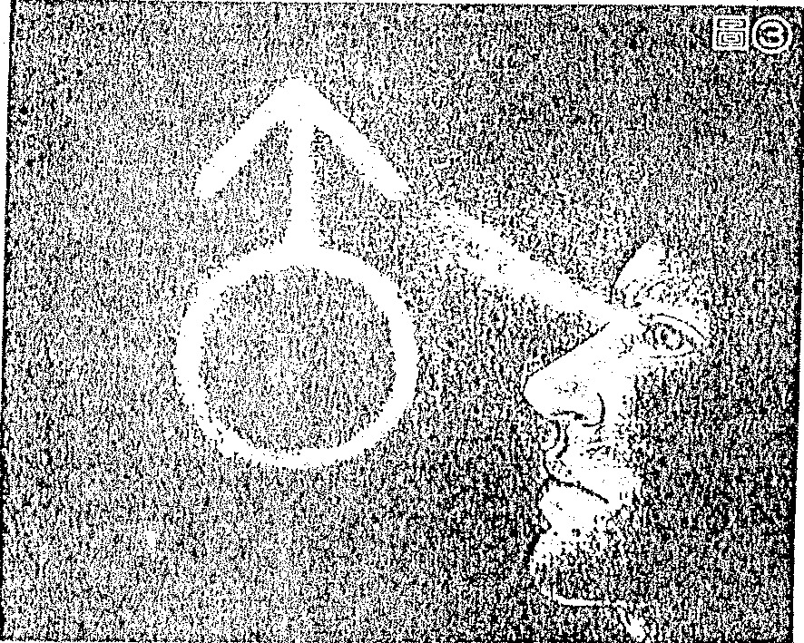 An illustration depicting a side profile of a person's eye looking at a collection of geometric shapes including a triangle, circle, and diamond, used to illustrate visual training.