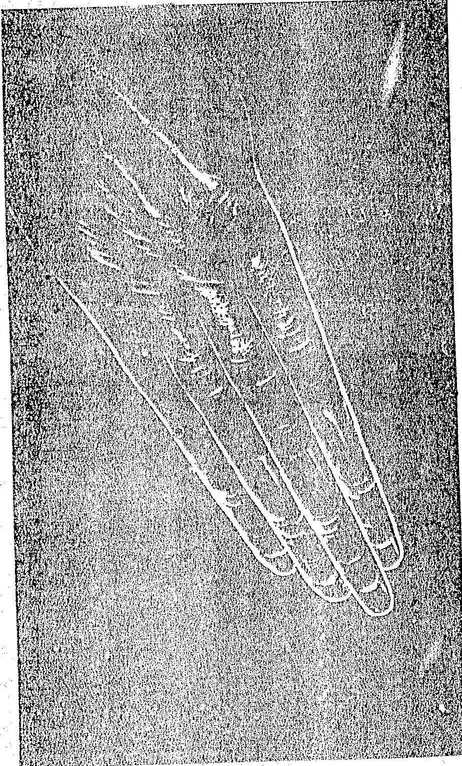 A grainy, high-contrast black-and-white image containing several overlapping curved white outlines or schematic shapes on a dark rectangular background.