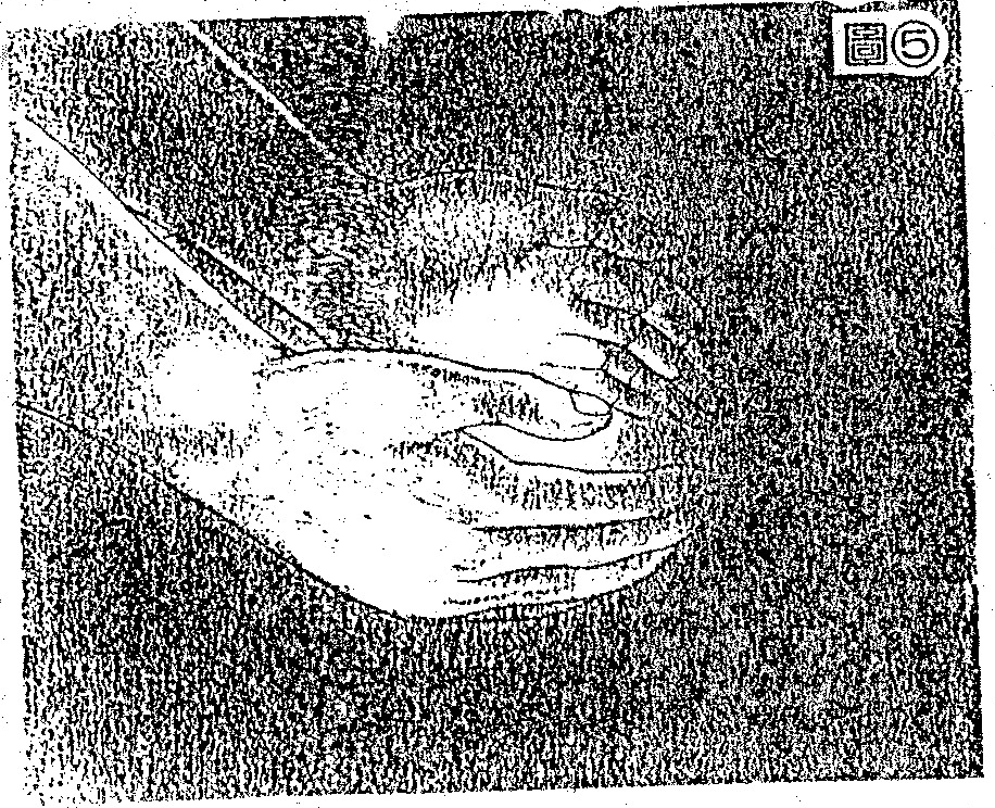 A black-and-white illustration showing two hands cupped together with a glowing, spherical light shape emanating between the palms.