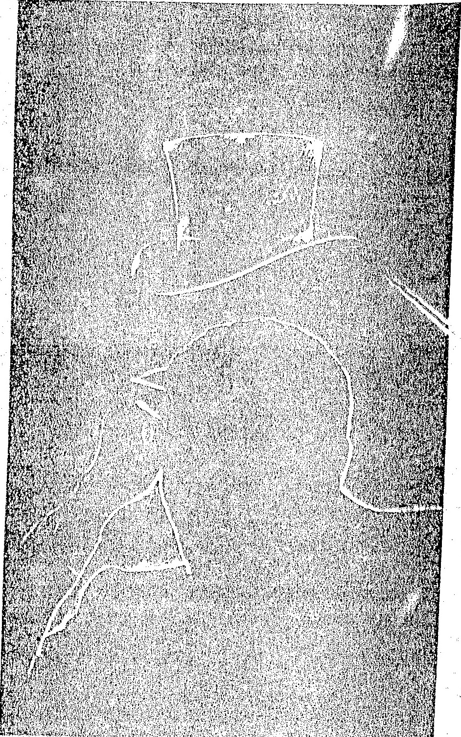 A rectangular, highly grainy and high-contrast black-and-white graphic or photograph displaying abstract white shapes against a dark background.