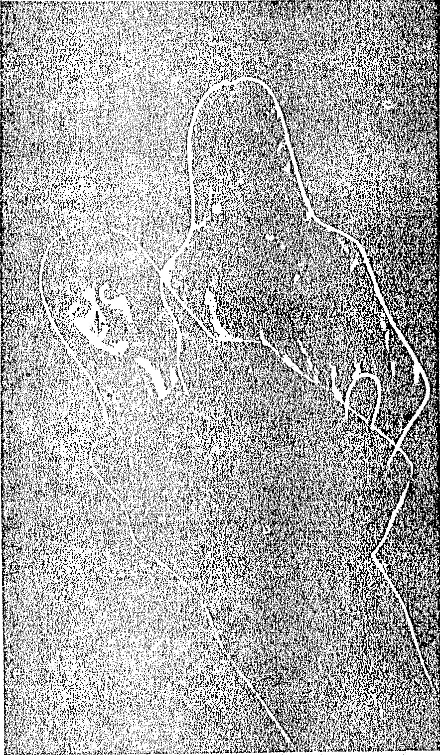 A grainy, black-and-white scanned illustration of a map or topographic diagram, likely showing a geographical area with contour lines and some alphanumeric characters, such as 'R' and 'Q', visible within the noisy texture. The figure is enclosed within a rectangular border.