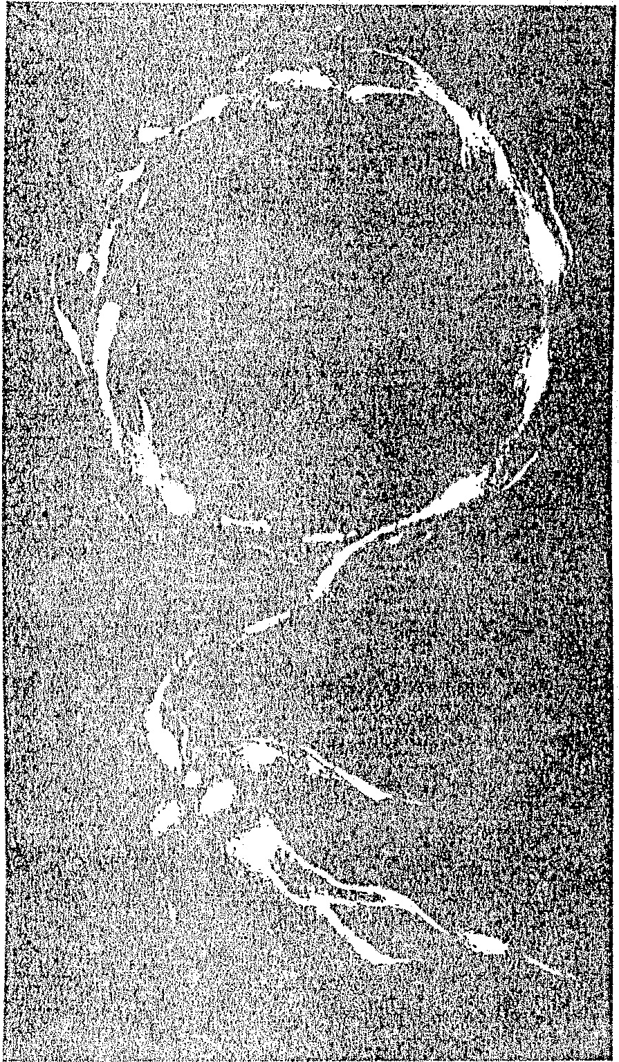 A grainy, rectangular, black-and-white figure featuring abstract, light-colored swirling and linear patterns against a dark background.
