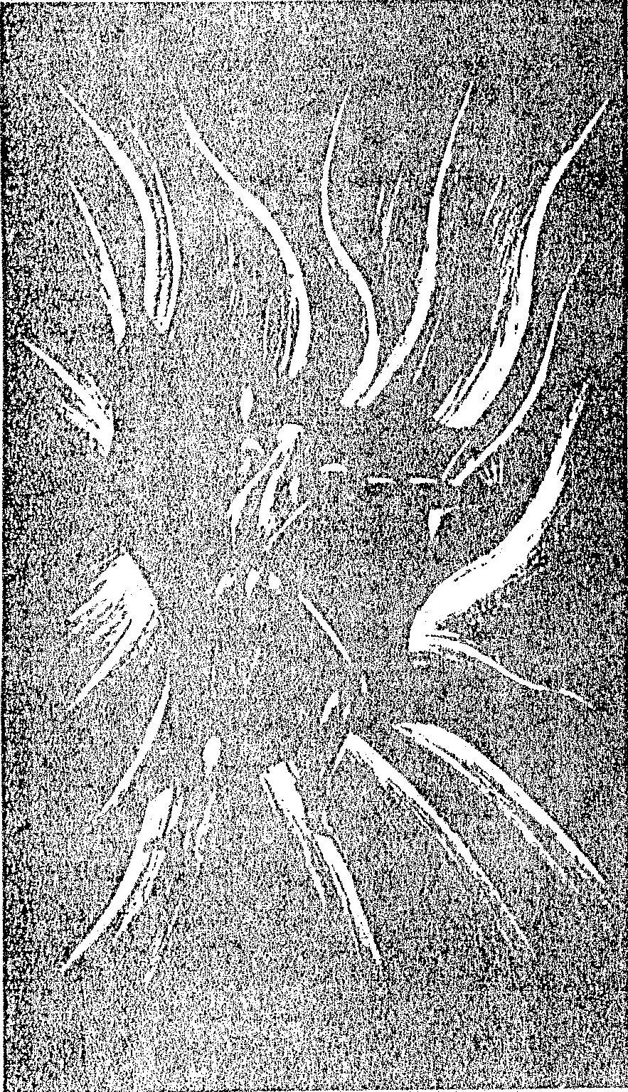 A vertical, monochromatic illustration depicting tall stalks of bamboo or grass bending under the force of wind, rendered in a textured, ink-like style typical of traditional woodblock or ink-wash prints.