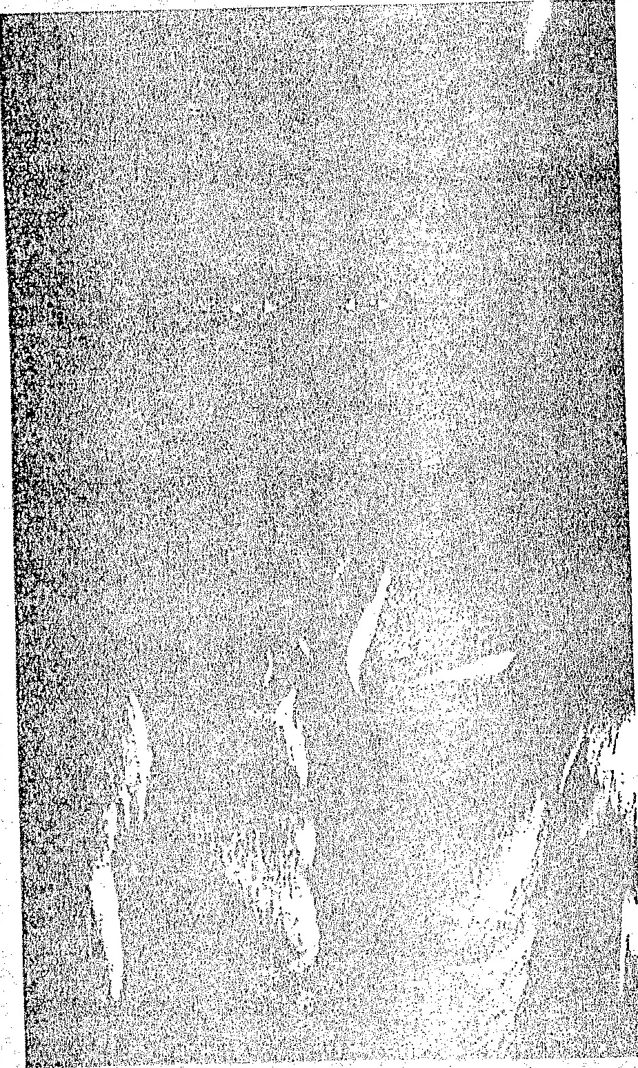 A large, extremely noisy, and grainy illustration, likely a map or landscape, enclosed within a red boundary.