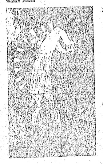 Source visual from PDF page 13
