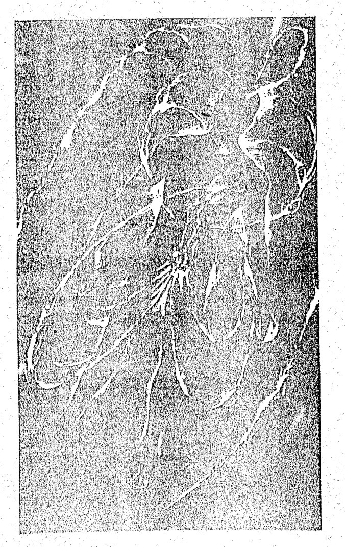 Source visual from PDF page 22