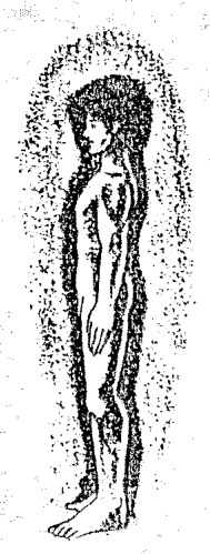 Source visual from PDF page 33
