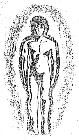 Source visual from PDF page 33