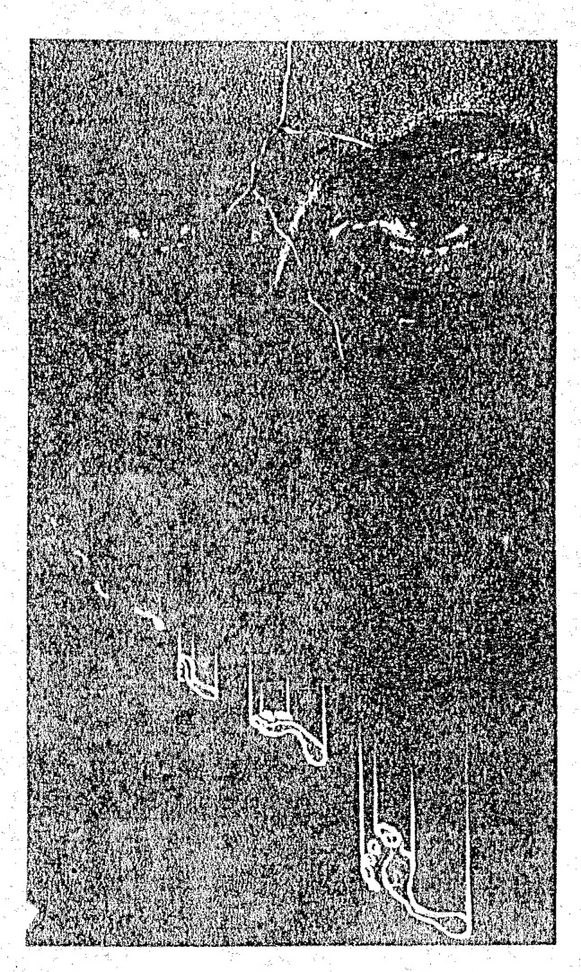 Source visual from PDF page 38