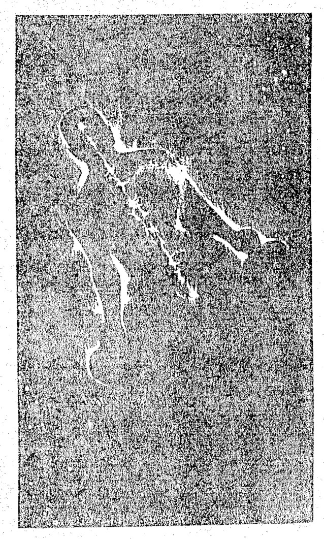 Source visual from PDF page 49