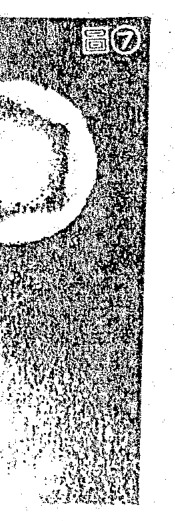 Source visual from PDF page 55