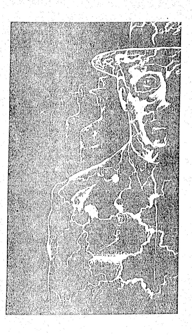 Source visual from PDF page 56
