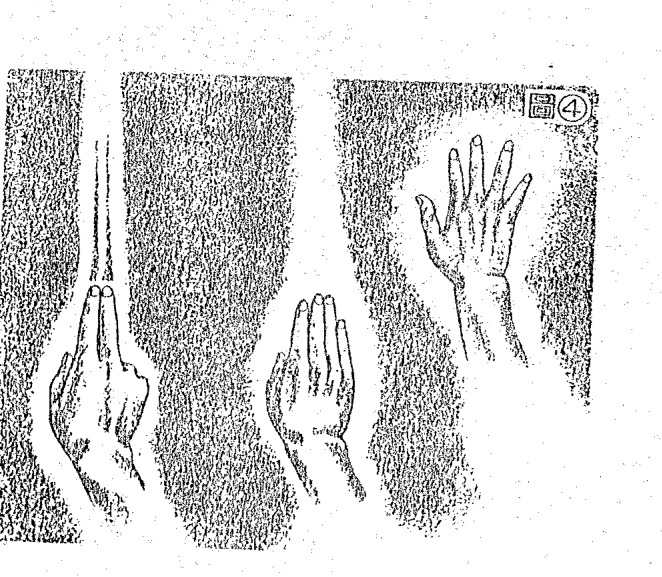 Source visual from PDF page 66