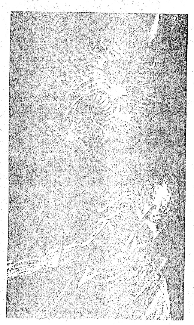 Source visual from PDF page 82