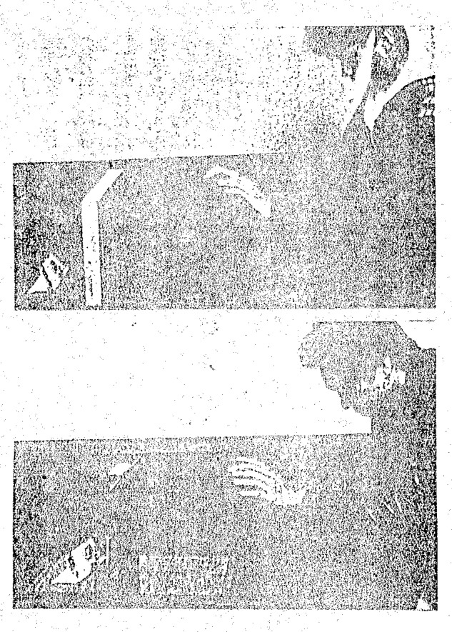 Source visual from PDF page 97