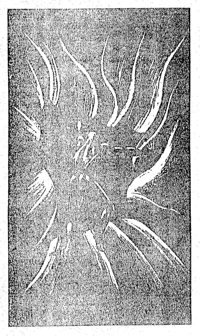 Source visual from PDF page 101