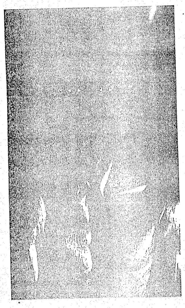Source visual from PDF page 105