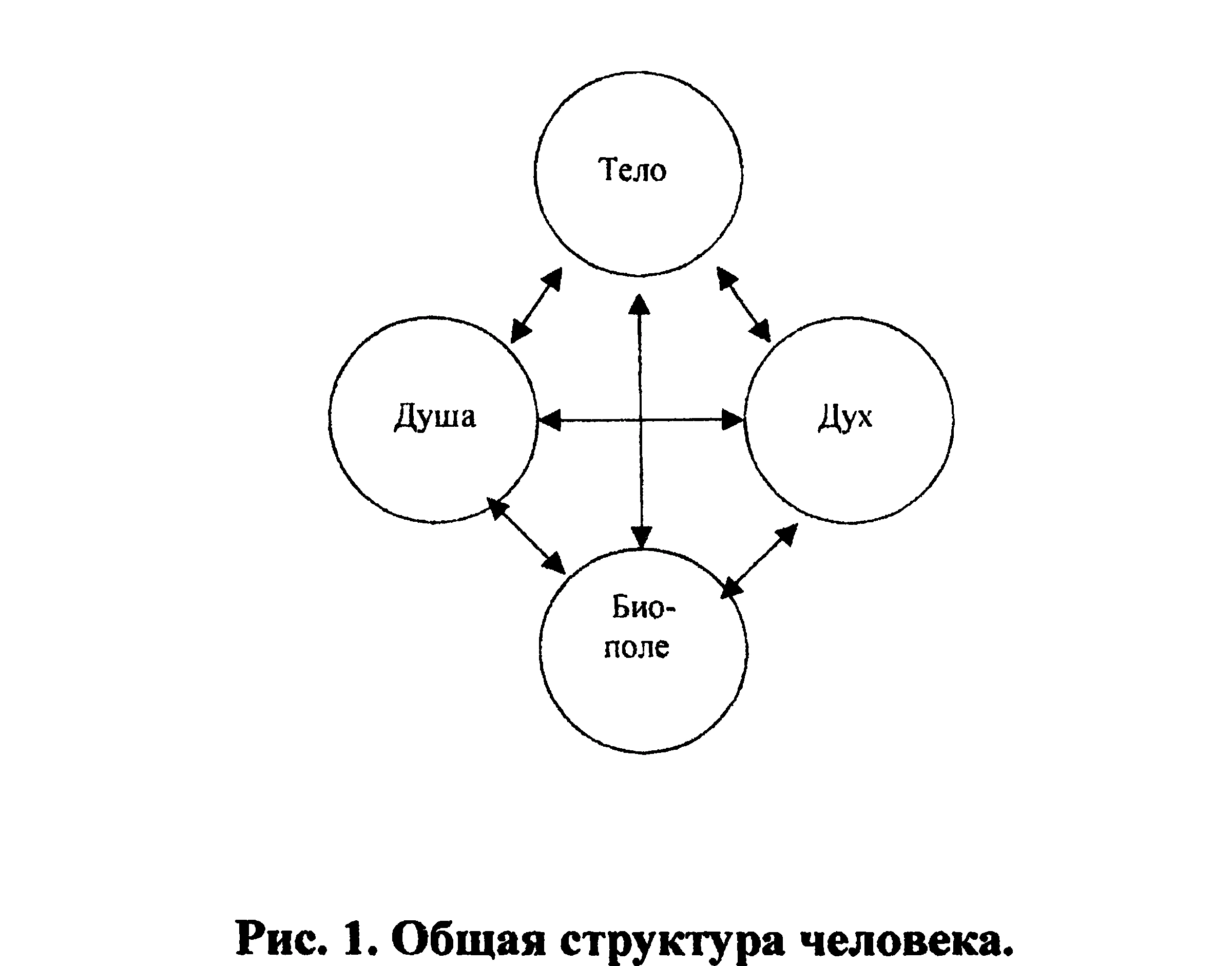 Figure 1: General structure of the human being