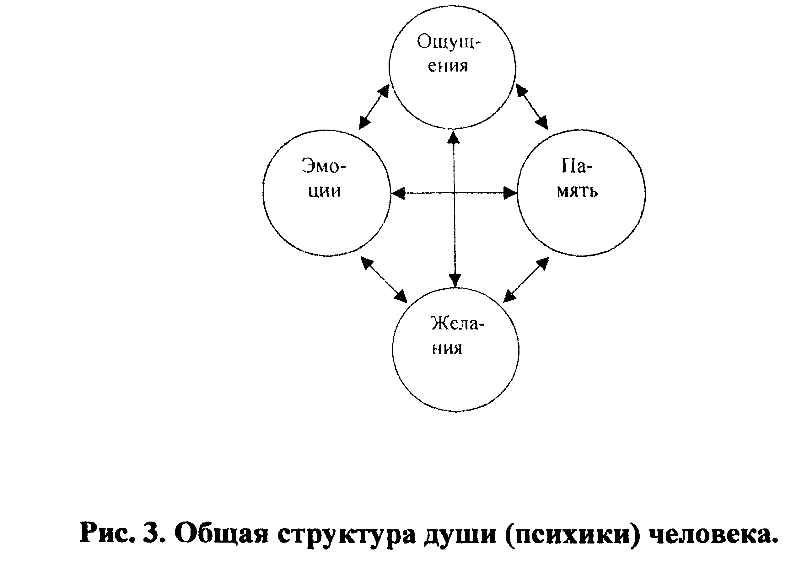 Figure 3: General structure of the human soul or psyche