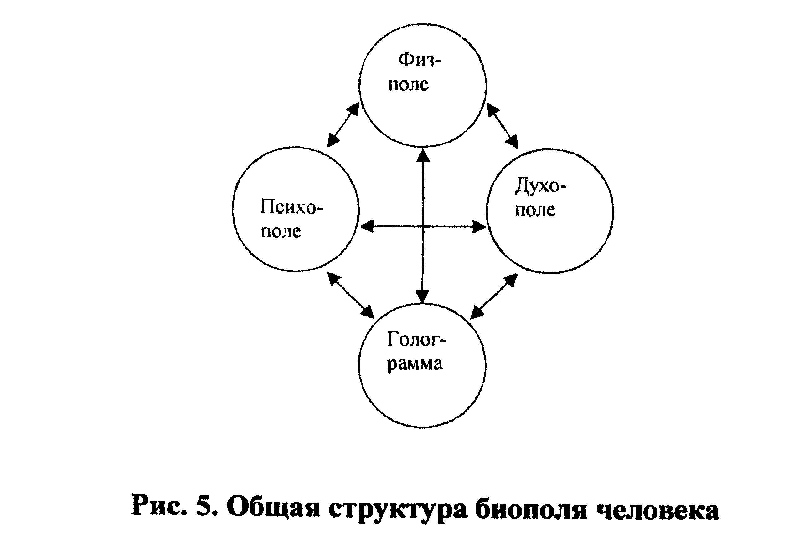 Figure 5: General structure of the human biofield
