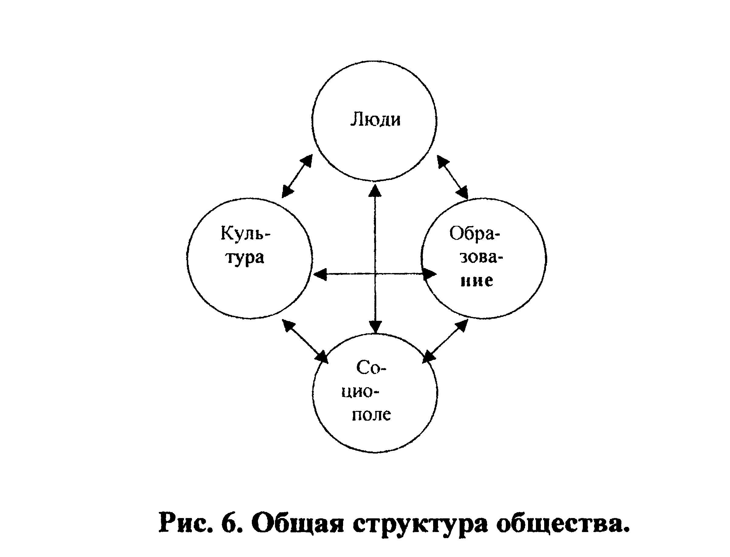 Figure 6: General structure of society
