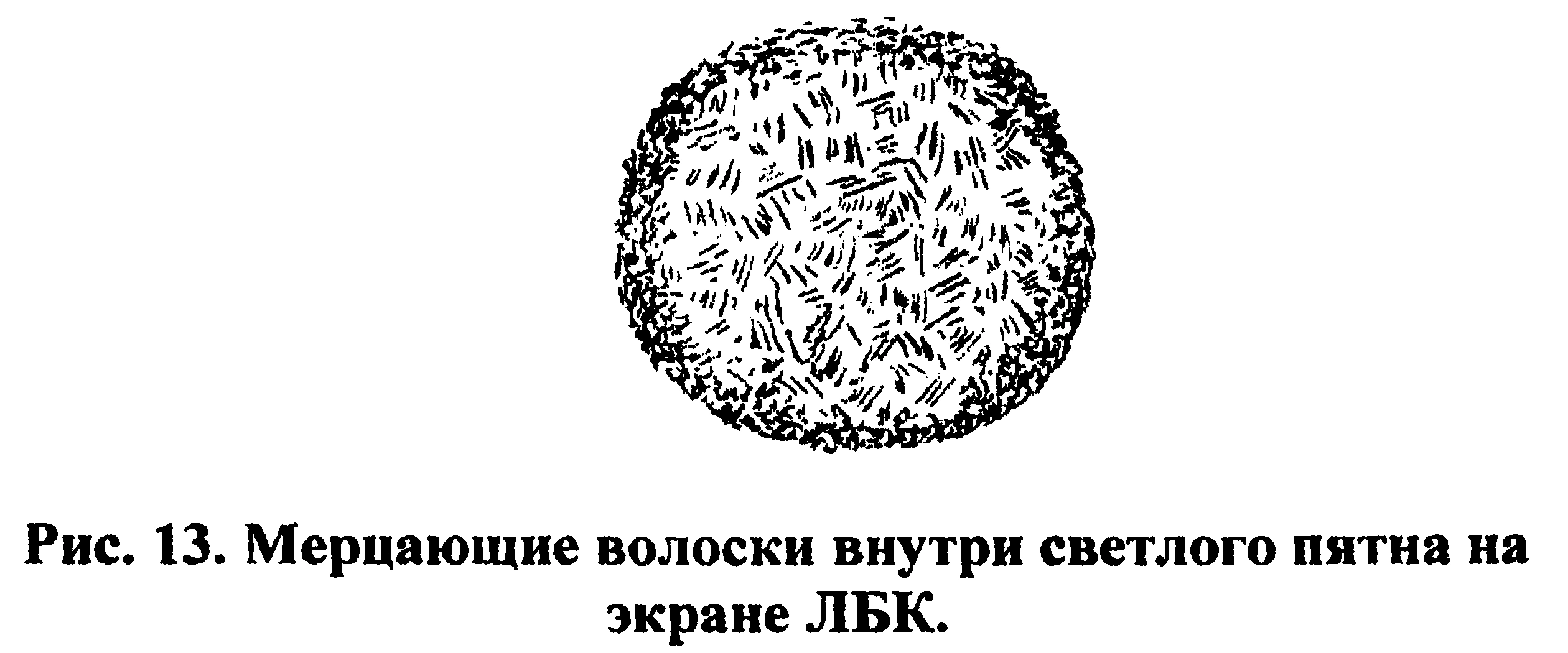 Figure 13: Flickering hairs inside a bright spot on the light-biocomputer screen