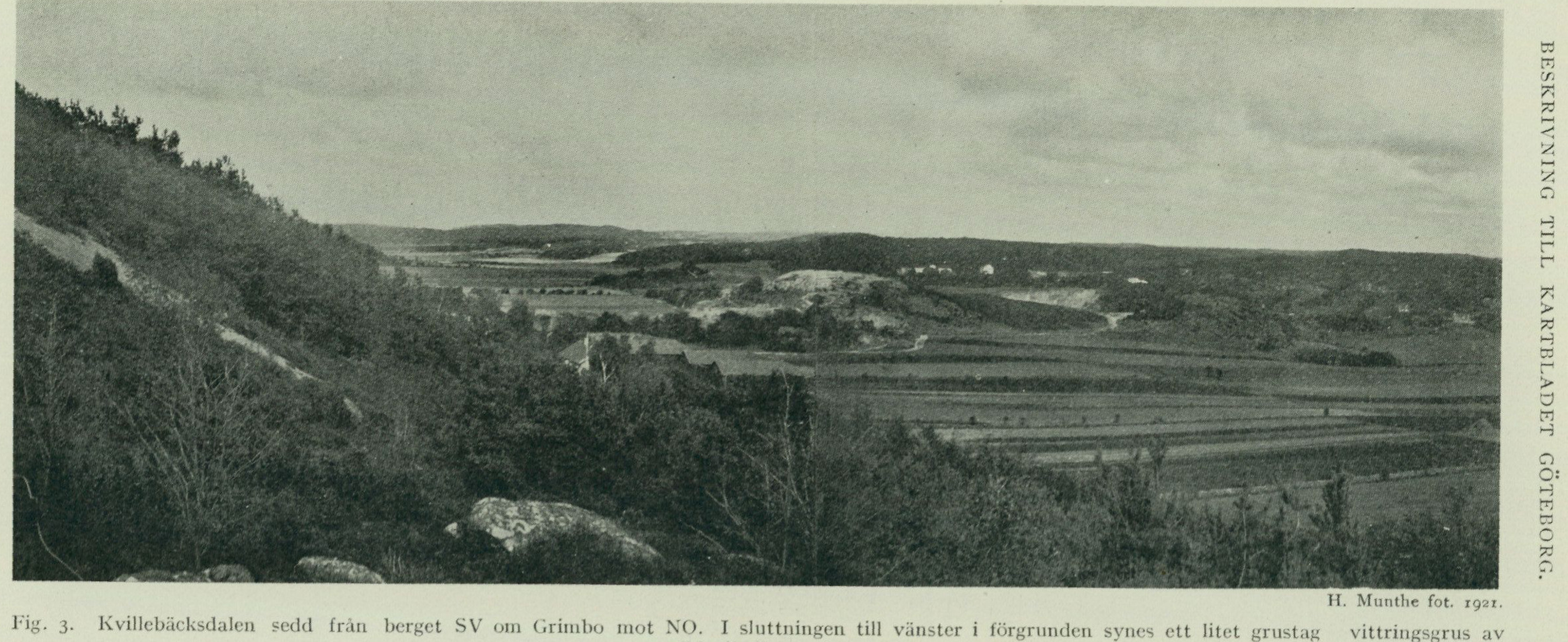 Source photograph or plate from PDF page 8