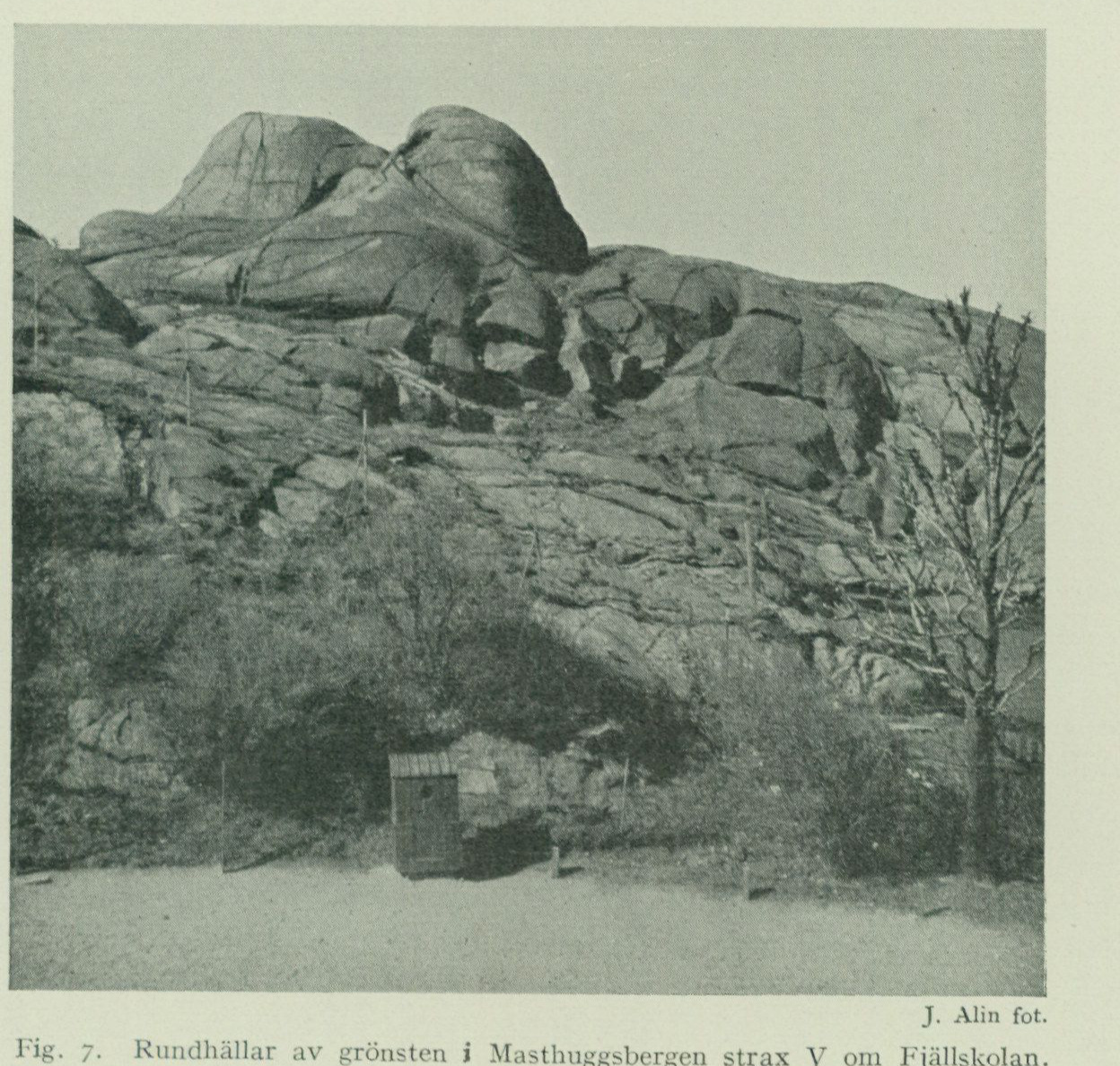 Source photograph or plate from PDF page 15
