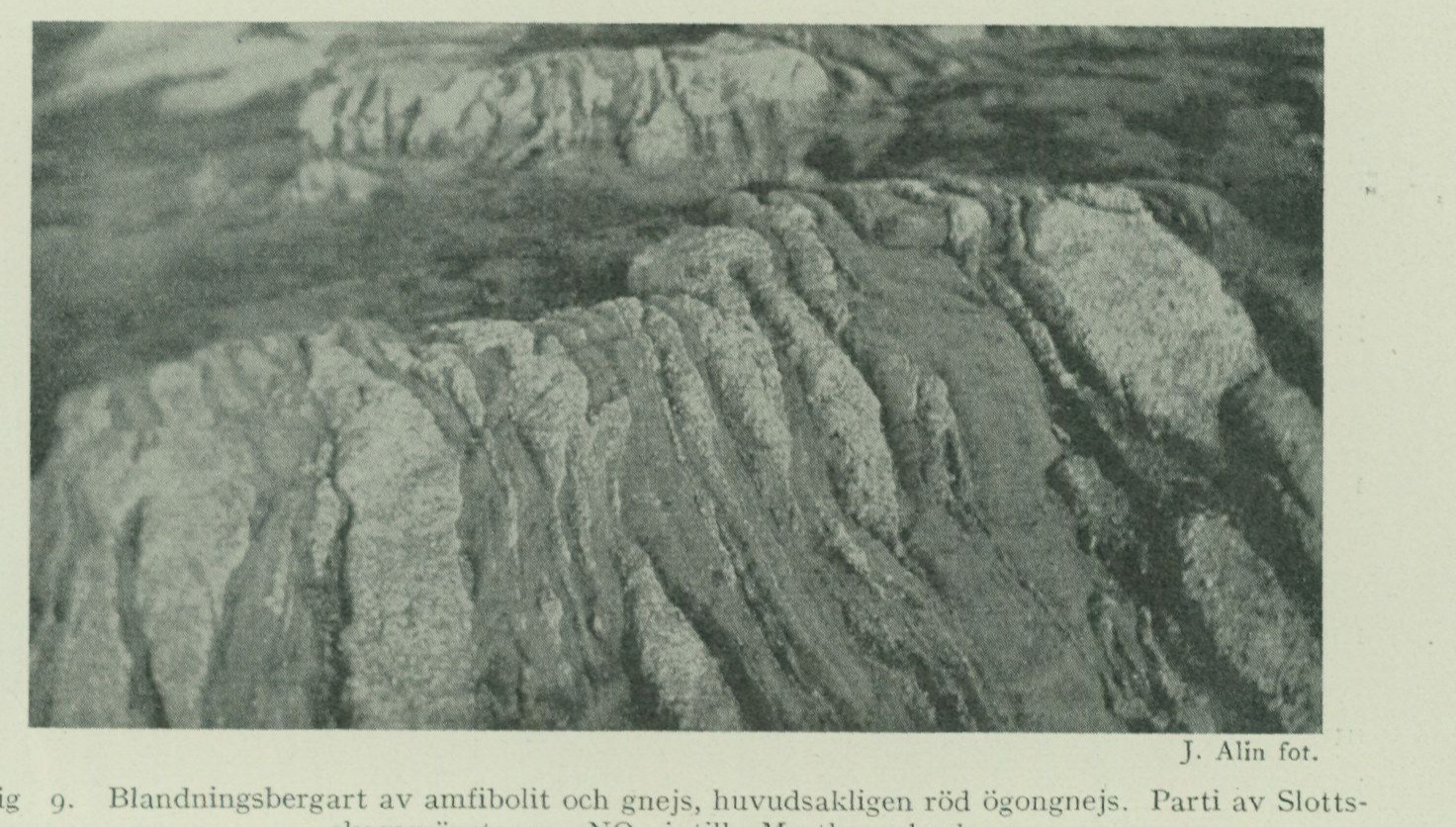 Source photograph or plate from PDF page 33