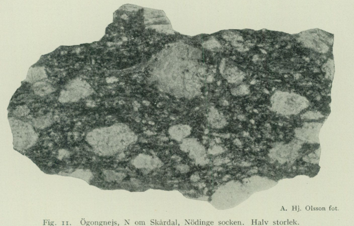 Source photograph or plate from PDF page 39