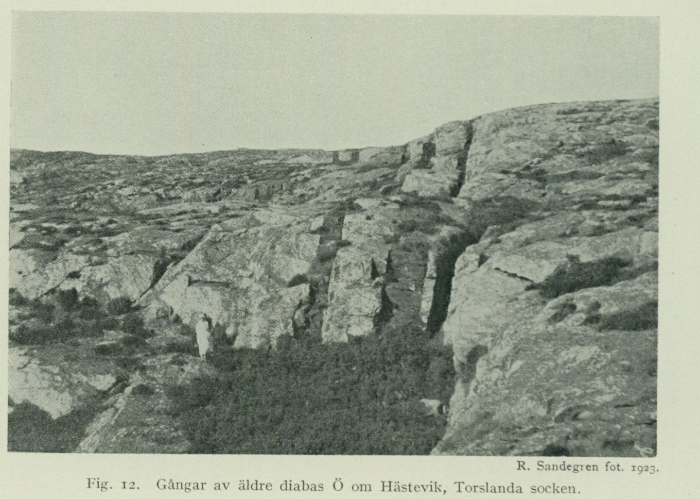 Source photograph or plate from PDF page 44