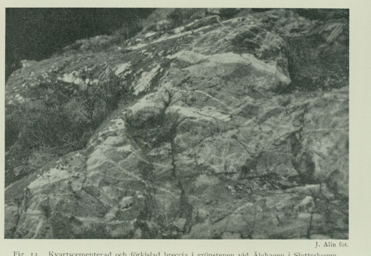 Source photograph or plate from PDF page 48