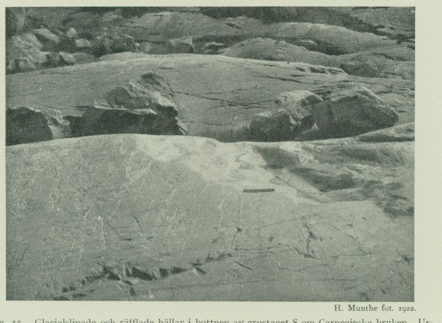 Source photograph or plate from PDF page 53