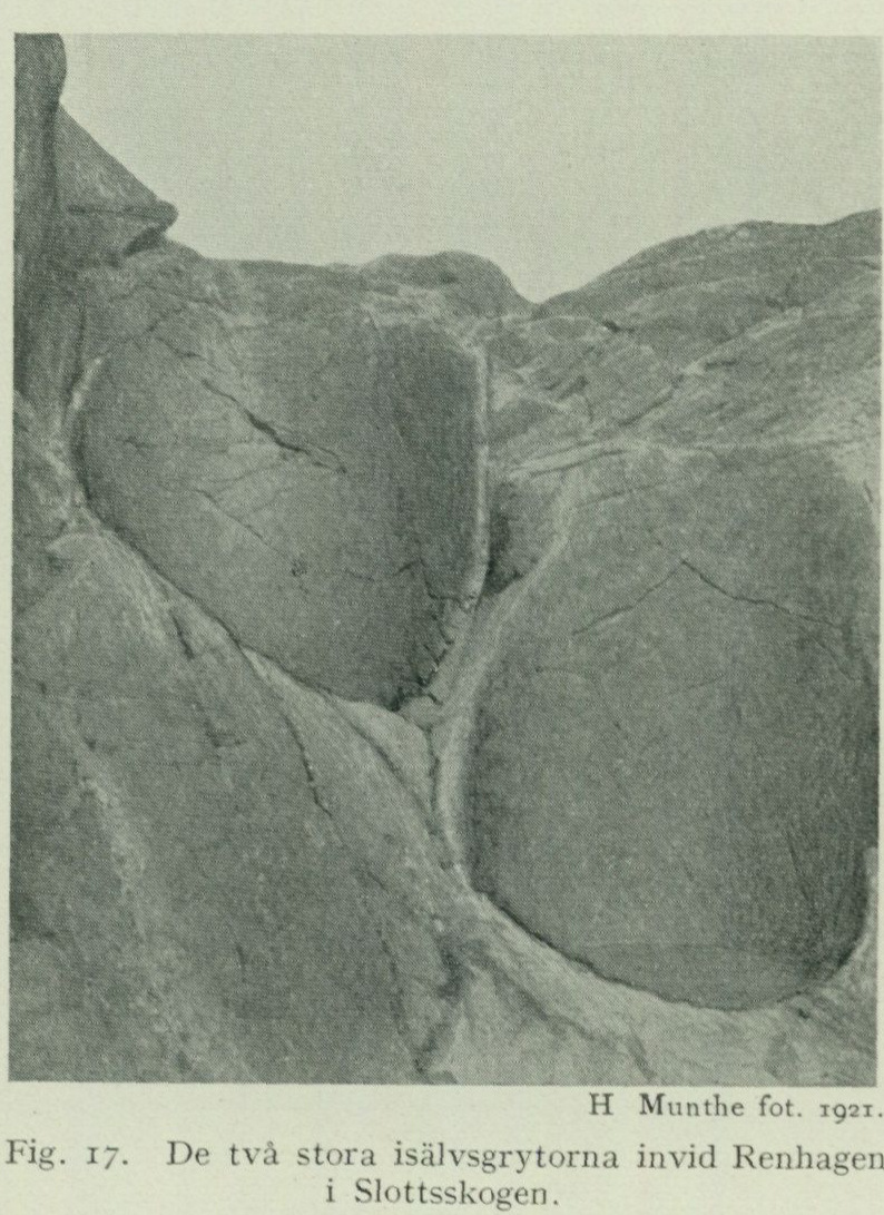 Source photograph or plate from PDF page 56
