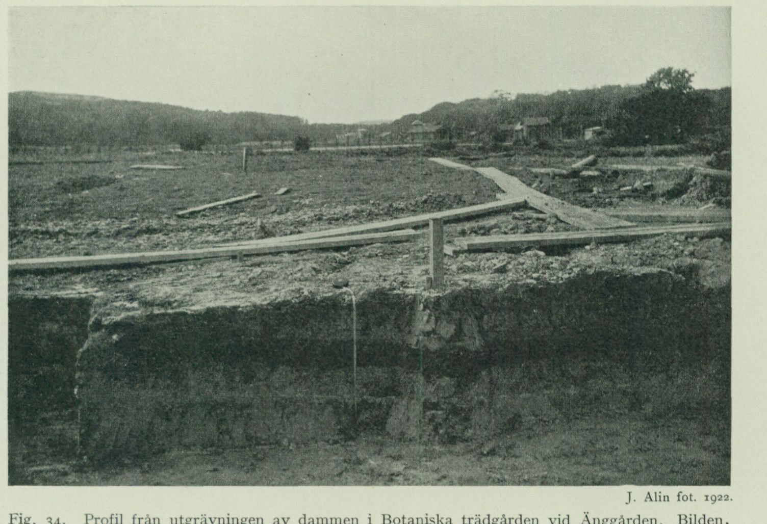 Source photograph or plate from PDF page 95
